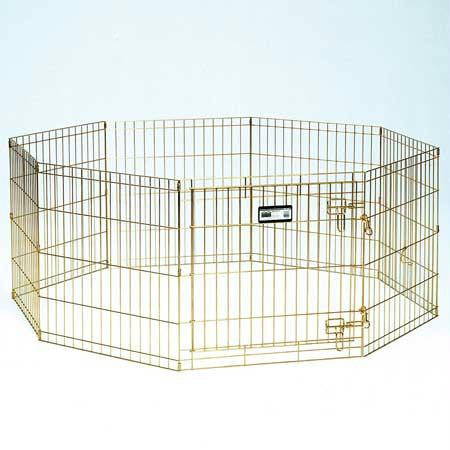 Midwest Gold Zinc Pet Exercise Pen 8 Panels Gold 24" X 24"