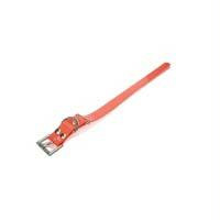 Dogtra Extra Dog Collar Strap Orange 1" X 24"