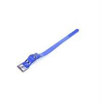 Dogtra Extra Dog Collar Strap Blue 1" X 24"