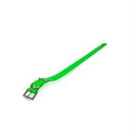 Dogtra Extra Dog Collar Strap Green 1" X 30"