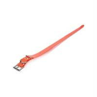 Dogtra Extra Dog Collar Strap Orange 1" X 32"