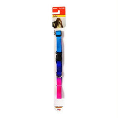 Dog - Collars And Leashes