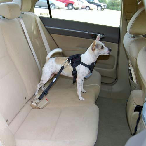 Bergan Dog Travel Harness Small Blue