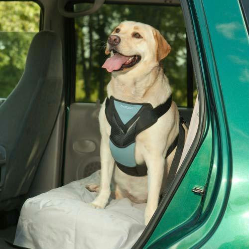 Bergan Dog Travel Harness Large Blue