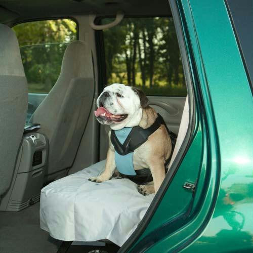 Bergan Dog Travel Harness Extra Large Blue