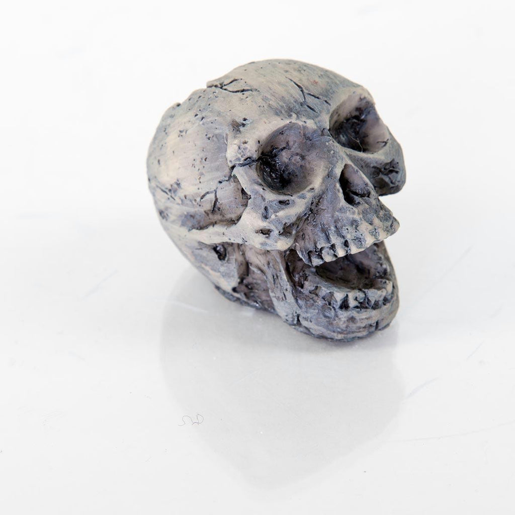 Biobubble Decorative Human Skull Small 2" X 1" X 2"