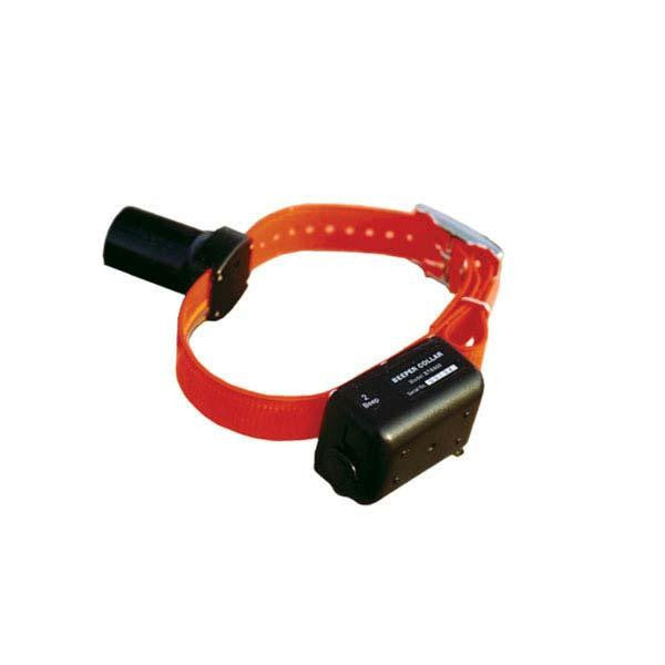 D.t. Systems Baritone Dog Beeper Collar Orange