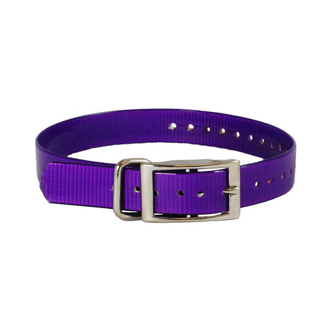 The Buzzard's Roost Collar Strap 1" Purple 1" X 24"