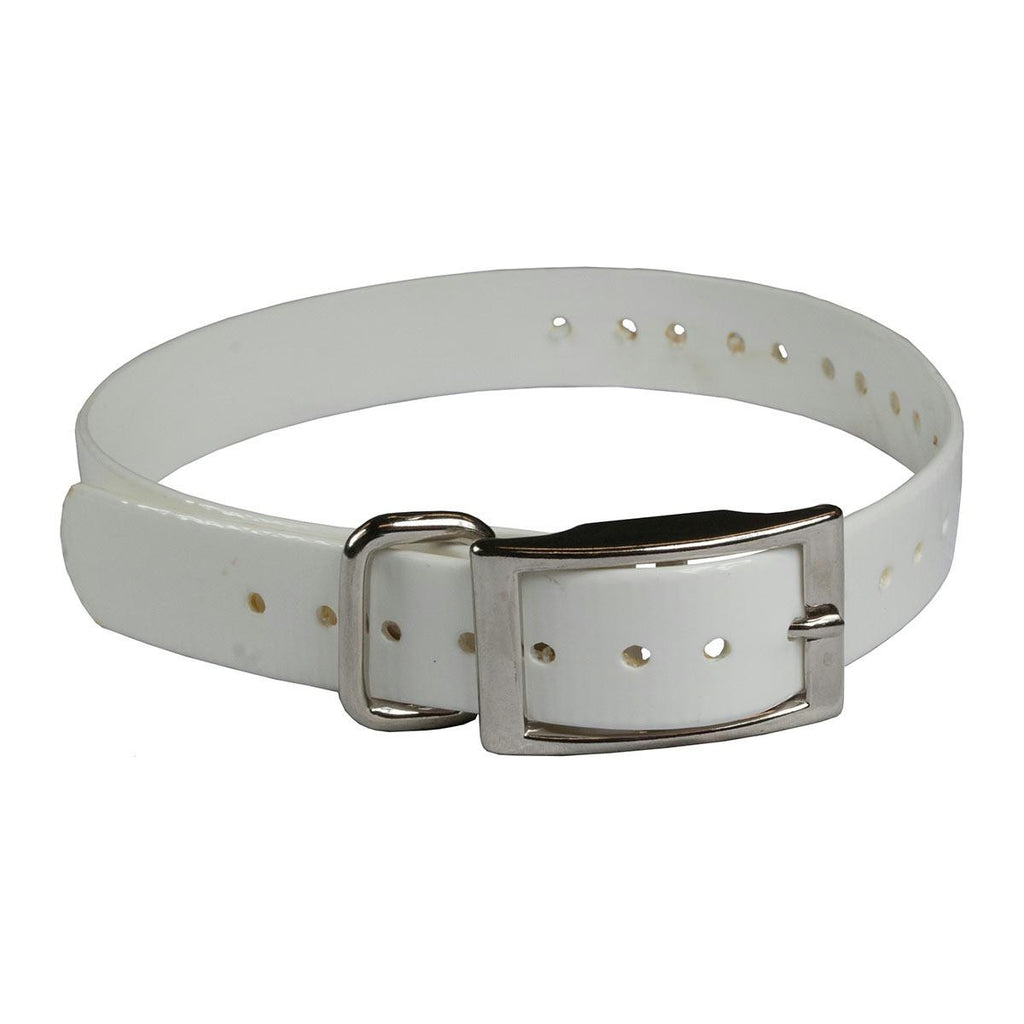 The Buzzard's Roost Collar Strap 1" White 1" X 24"