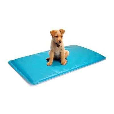 Soothsoft Innovations Canine Cooler Blue 18" X 24"