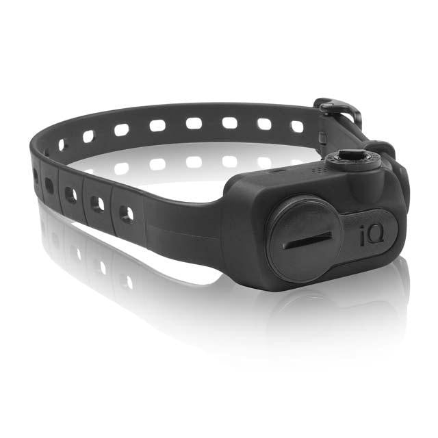 Dogtra Iq No Bark Collar Black