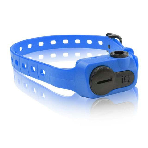 Dogtra Iq No Bark Collar Blue