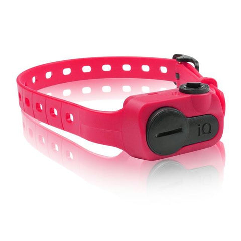 Dogtra Iq No Bark Collar Pink