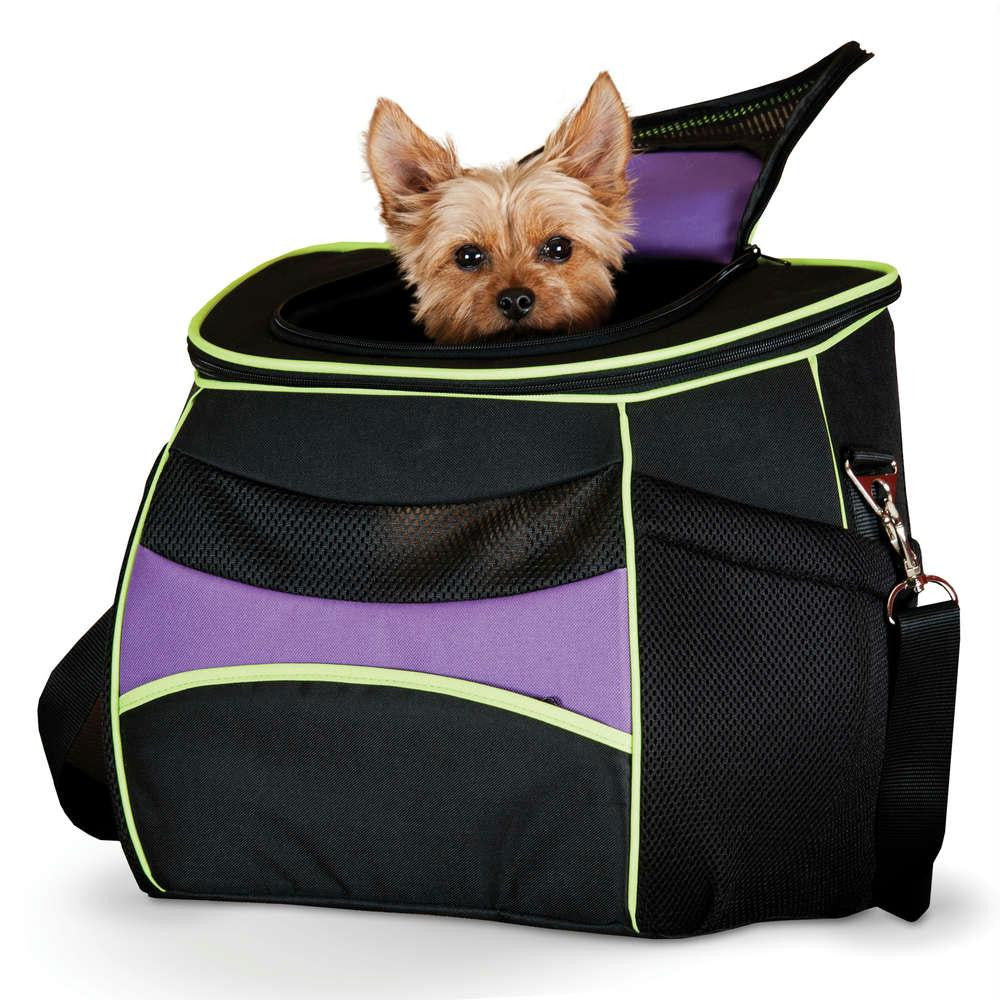 K&h Pet Products Comfy Go Back Pack Pet Carrier Purple-black-lime Green 15.35" X 11.42" X 13.98"