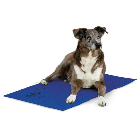 K&h Pet Products Coolin Pet Pad Extra Large Blue 27" X 38" X 0.75"