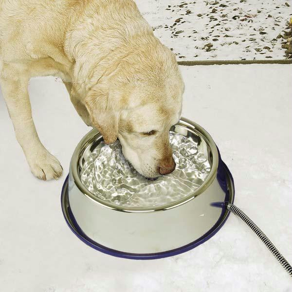 K&h Pet Products Pet Thermal Bowl Stainless Steel 13" X 13" X 3.5"