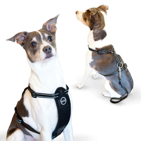 K&h Pet Products Travel Safety Pet Harness Small Black