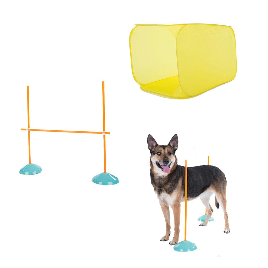 Outward Hound Dog Agility Starter Kit Indoor