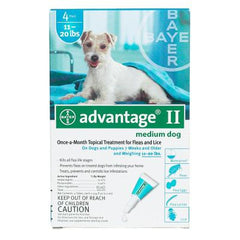 Dog - Flea And Tick